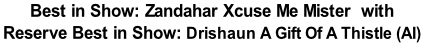 Best in Show: Zandahar Xcuse Me Mister		with Reserve Best in Show: Drishaun A Gift Of A Thistle (AI)